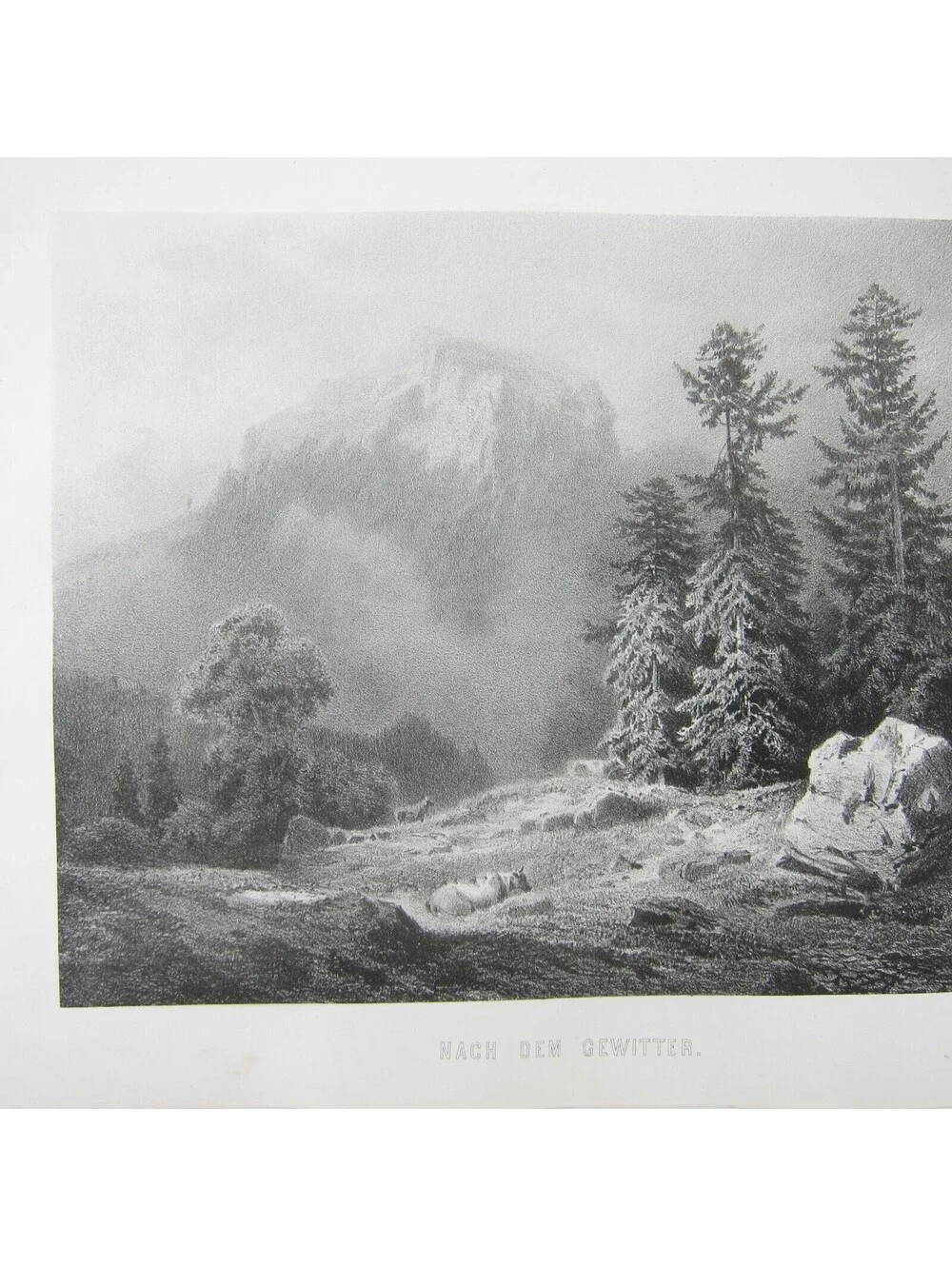 N/A antique print